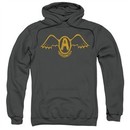 Aerosmith Hoodie Sweatshirt Retro Logo Charcoal Adult Hoody Sweat Shirt