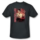 Bruce Lee T-shirt Adult Fury Charcoal