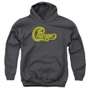 Chicago Youth Hoodie Distressed Logo Charcoal Kids Hoody