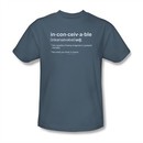 The Princess Bride Shirt Definition Adult Slate Tee T-Shirt