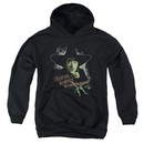 The Wizard Of Oz  Kids Hoodie The Wicked Witch of the West Black Youth Hoody