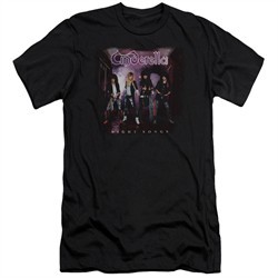 womens cinderella shirt