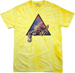 Galactic Cat Tie Dye T-shirt