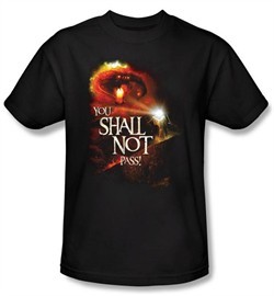 Lord Of The Rings Kids T-Shirt You Shall Not Pass Youth Black Shirt