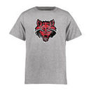 Arkansas State Red Wolves Youth Classic Primary T-Shirt - Ash
