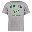 South Florida Bulls Big & Tall Campus Icon T-Shirt - Ash