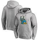 Delaware Fightin' Blue Hens Fanatics Branded Primary Team Logo Pullover Hoodie - Ash