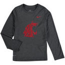 Washington State Cougars Nike Youth Legend Logo Long Sleeve Performance T-Shirt - Heathered Gray