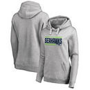 Seattle Seahawks NFL Pro Line by Fanatics Branded Women's Iconic Collection On Side Stripe Pullover Hoodie - Ash