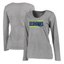 Seattle Seahawks NFL Pro Line by Fanatics Branded Women's Iconic Collection On Side Stripe Long Sleeve Plus Size T-Shirt - Ash
