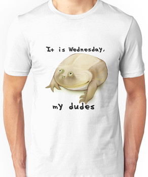 It is Wednesday my dudes  Unisex T-Shirt