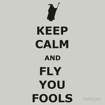 KEEP CALM AND FLY YOU FOOLS