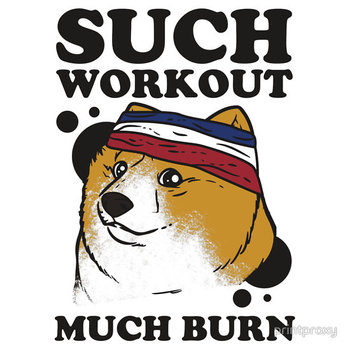 Such Workout, Much Burn - Doge The Dog Workout