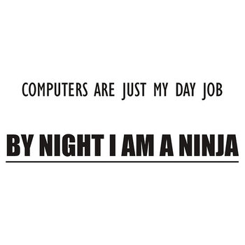 Ninja Career Option