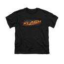 The Flash Tv Series Logo Youth Black T-Shirt from Warner Bros.