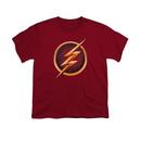 The Flash Tv Series Logo Youth Red T-Shirt from Warner Bros.