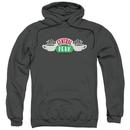 Friends Central Park Logo Adult Charcoal Hoodie from Warner Bros.