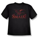 The Hobbit:  The Desolation Of Smaug Dragon Youth Black T-Shirt from Warner Bros.