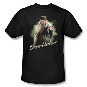 Dumbledore Casting A Spell