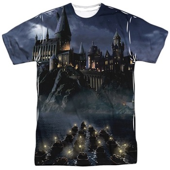 Harry Potter Hogwarts Tshirt