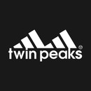 twin peaks v2 T-Shirt