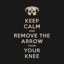 Keep Calm And Remove The Arrow From Your Knee T-Shirt