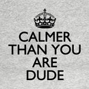 Calmer than you are Dude T-Shirt