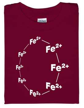 Ferrous Wheel T-shirt