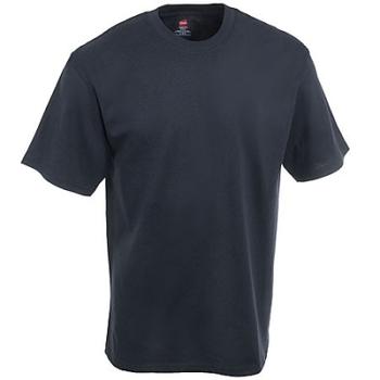 Hanes Shirts: Men's Black 5250T BLK 100% Cotton Tagless T-Shirt