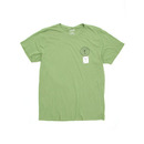 Catch Surf Circle Script T Shirt in Tea Green