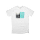 Reef Wander T Shirt in White