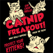 Catnip Freakout