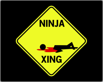 Ninja Xing